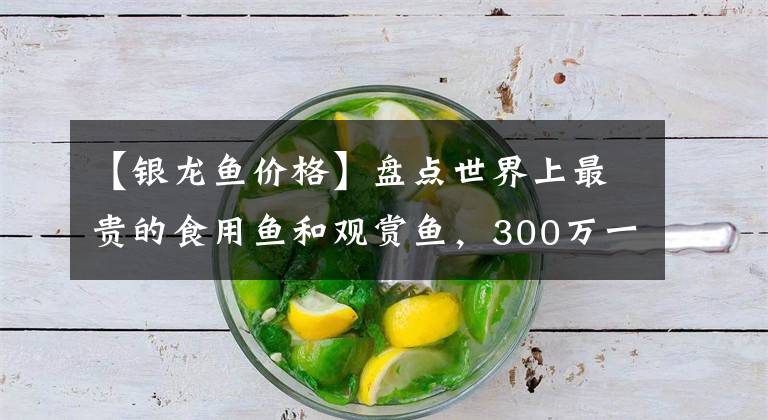 【銀龍魚價格】盤點世界上最貴的食用魚和觀賞魚，300萬一條的魚你吃過沒？