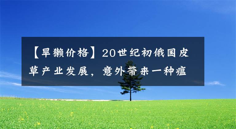 【旱獺價(jià)格】20世紀(jì)初俄國(guó)皮草產(chǎn)業(yè)發(fā)展，意外帶來(lái)一種瘟疫，中國(guó)東北受災(zāi)最重