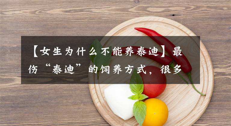 【女生為什么不能養(yǎng)泰迪】最傷“泰迪”的飼養(yǎng)方式，很多寵主還在做