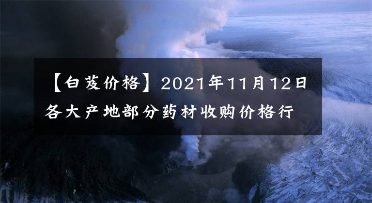 【白芨價(jià)格】2021年11月12日各大產(chǎn)地部分藥材收購價(jià)格行情