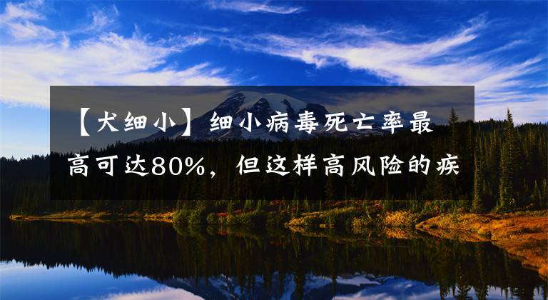 【犬細(xì)小】細(xì)小病毒死亡率最高可達(dá)80%，但這樣高風(fēng)險(xiǎn)的疾病并不會傳染給人