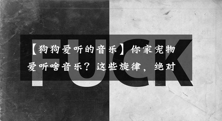 【狗狗愛聽的音樂】你家寵物愛聽啥音樂？這些旋律，絕對(duì)是喵星人和汪星人的菜！