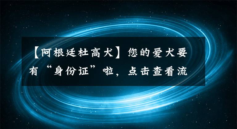 【阿根廷杜高犬】您的愛犬要有“身份證”啦，點(diǎn)擊查看流程