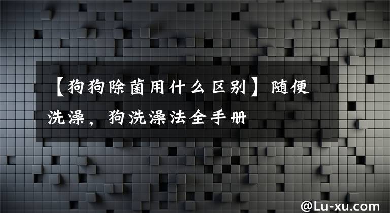 【狗狗除菌用什么區(qū)別】隨便洗澡，狗洗澡法全手冊