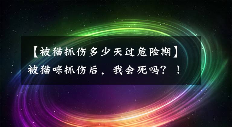 【被貓抓傷多少天過(guò)危險(xiǎn)期】被貓咪抓傷后，我會(huì)死嗎？！