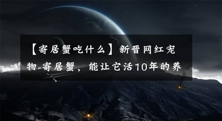 【寄居蟹吃什么】新晉網(wǎng)紅寵物-寄居蟹，能讓它活10年的養(yǎng)殖方法