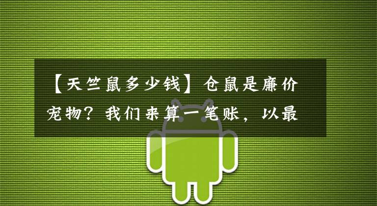 【天竺鼠多少錢】倉鼠是廉價寵物？我們來算一筆賬，以最低消費，養(yǎng)只倉鼠要多少錢