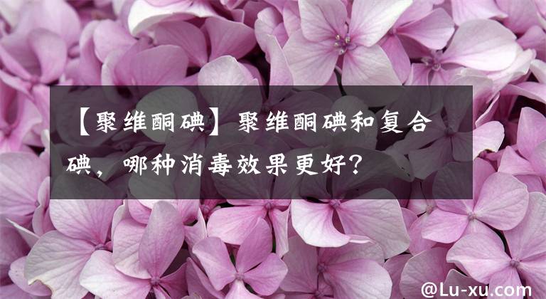 【聚維酮碘】聚維酮碘和復(fù)合碘，哪種消毒效果更好？