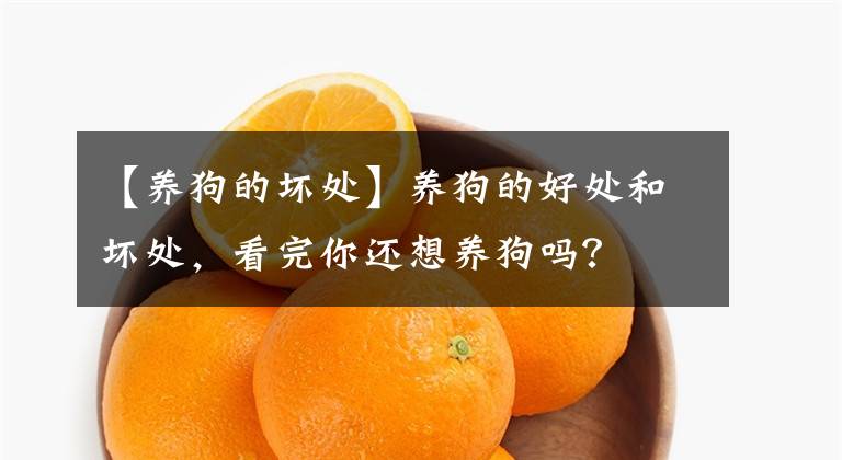 【養(yǎng)狗的壞處】養(yǎng)狗的好處和壞處，看完你還想養(yǎng)狗嗎？