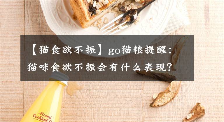 【貓食欲不振】go貓糧提醒：貓咪食欲不振會有什么表現(xiàn)？