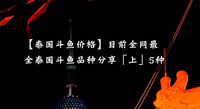 【泰國斗魚價格】目前全網(wǎng)最全泰國斗魚品種分享「上」5種泰國原生斗魚介紹