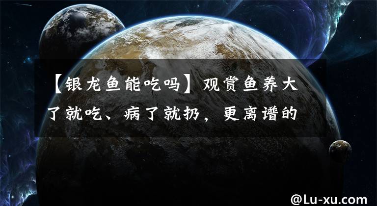 【銀龍魚能吃嗎】觀賞魚養(yǎng)大了就吃、病了就扔，更離譜的，還有殺雞取卵的養(yǎng)魚模式