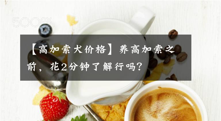 【高加索犬價(jià)格】養(yǎng)高加索之前，花2分鐘了解行嗎？