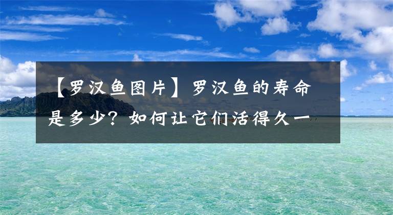 【羅漢魚圖片】羅漢魚的壽命是多少？如何讓它們活得久一些，你知道嗎？