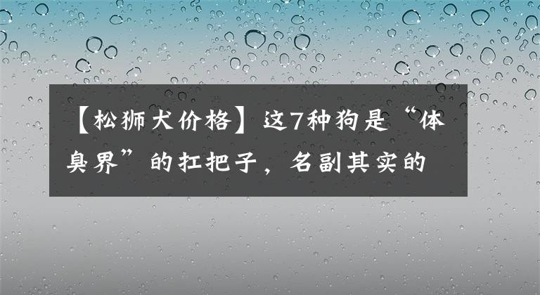 【松獅犬價格】這7種狗是“體臭界”的扛把子，名副其實的“臭狗”