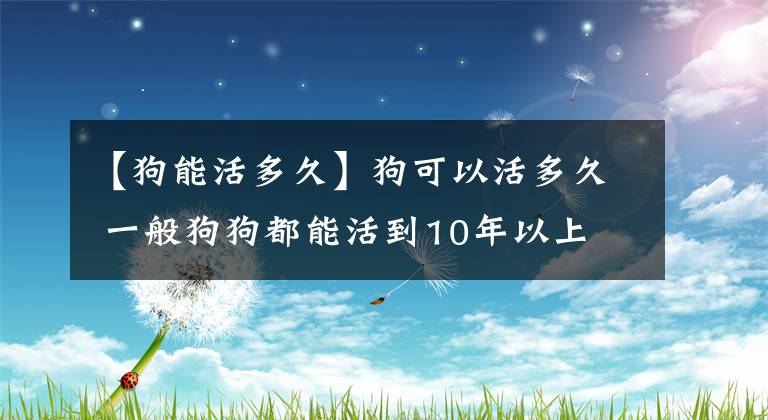 【狗能活多久】狗可以活多久 一般狗狗都能活到10年以上