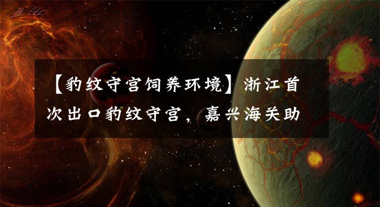 【豹紋守宮飼養(yǎng)環(huán)境】浙江首次出口豹紋守宮，嘉興海關(guān)助力特色寵物養(yǎng)殖行業(yè)走向世界