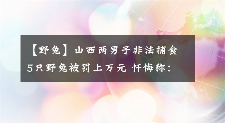 【野兔】山西兩男子非法捕食5只野兔被罰上萬(wàn)元 懺悔稱：這只野兔有點(diǎn)貴