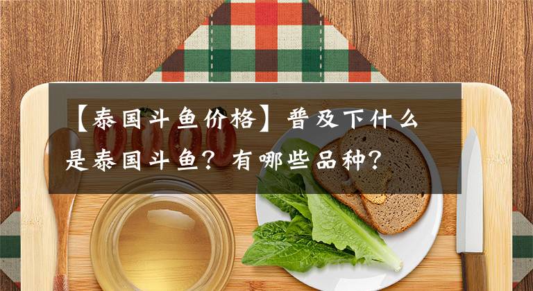 【泰國斗魚價格】普及下什么是泰國斗魚？有哪些品種？