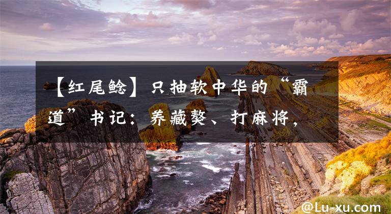 【紅尾鯰】只抽軟中華的“霸道”書記：養(yǎng)藏獒、打麻將，上不了麻將桌的干部送狗糧