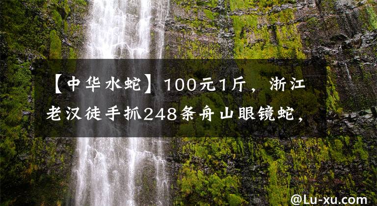 【中華水蛇】100元1斤，浙江老漢徒手抓248條舟山眼鏡蛇，為何毒蛇還要保護？