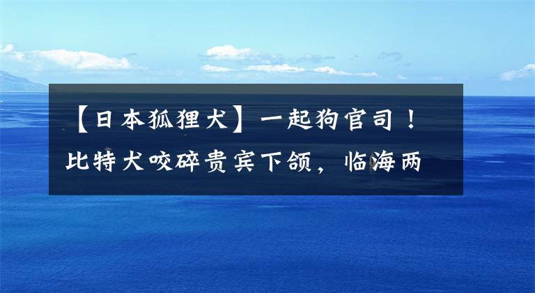 【日本狐貍?cè)恳黄鸸饭偎荆”忍厝橘F賓下頜，臨海兩“鏟屎官”對(duì)簿公堂，小區(qū)哪些犬禁養(yǎng)，看這里