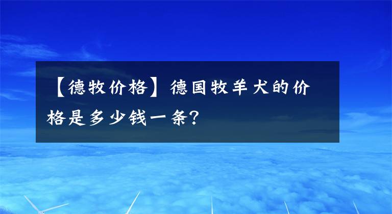 【德牧價(jià)格】德國(guó)牧羊犬的價(jià)格是多少錢一條？