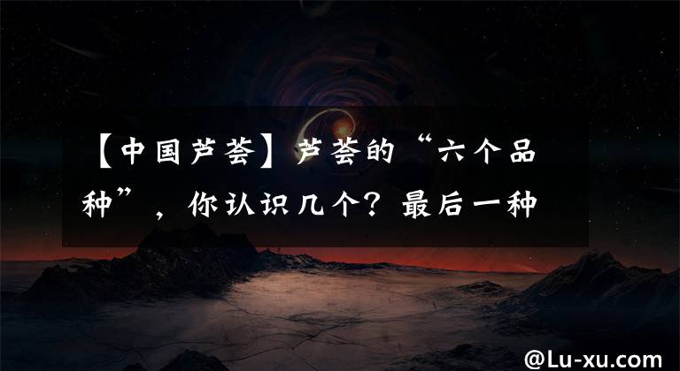 【中國(guó)蘆薈】蘆薈的“六個(gè)品種”，你認(rèn)識(shí)幾個(gè)？最后一種很少有人見(jiàn)過(guò)