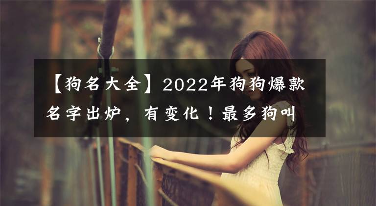 【狗名大全】2022年狗狗爆款名字出爐，有變化！最多狗叫這些名字