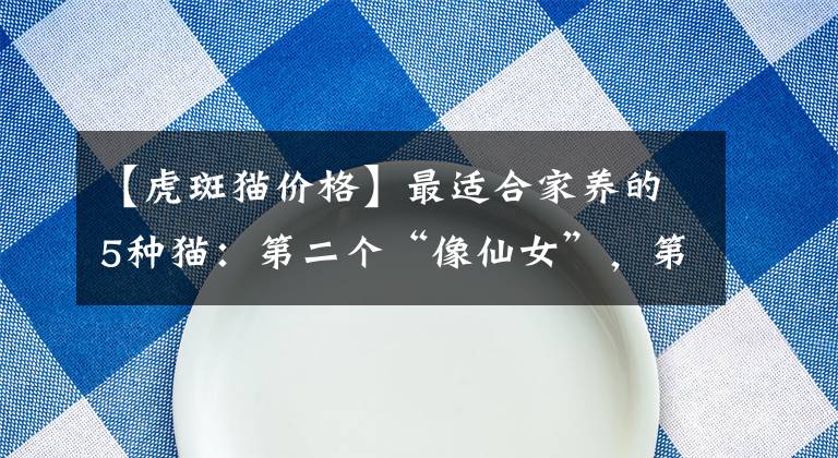 【虎斑貓價(jià)格】最適合家養(yǎng)的5種貓：第二個(gè)“像仙女”，第五個(gè)“行走的表情包”