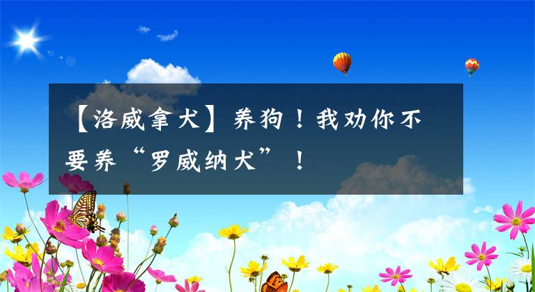 【洛威拿犬】養(yǎng)狗！我勸你不要養(yǎng)“羅威納犬”！