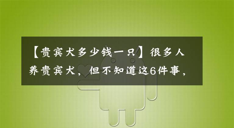 【貴賓犬多少錢一只】很多人養(yǎng)貴賓犬，但不知道這6件事，作為主人你知道嗎？