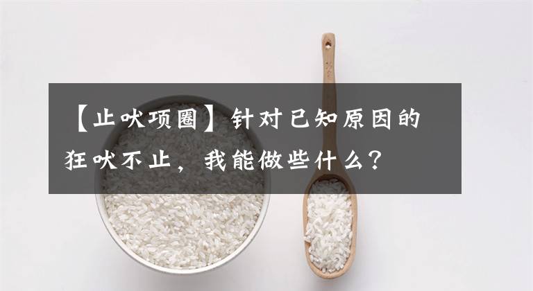 【止吠項(xiàng)圈】針對(duì)已知原因的狂吠不止，我能做些什么？