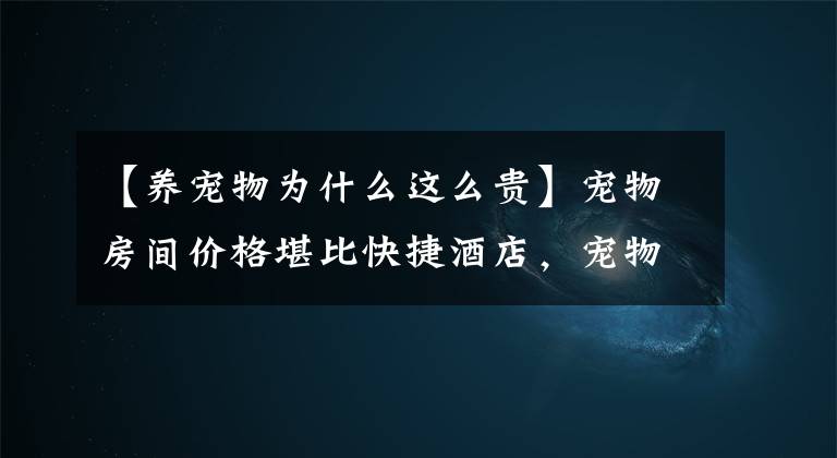 【養(yǎng)寵物為什么這么貴】寵物房間價格堪比快捷酒店，寵物消費熱是如何形成的呢？