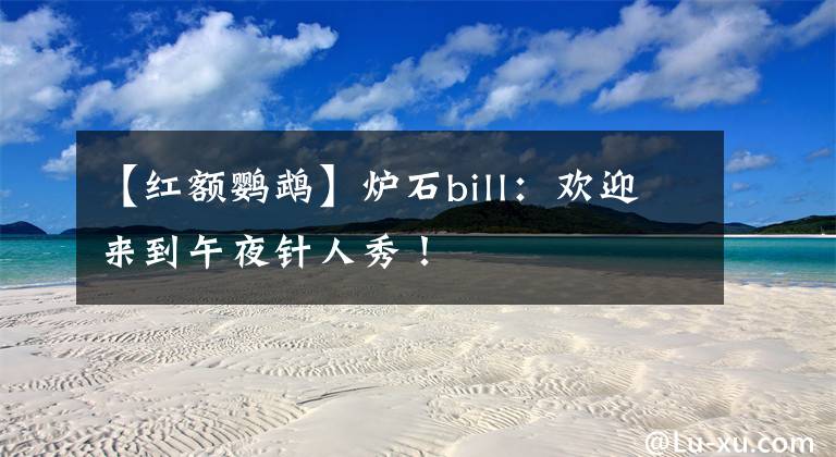 【紅額鸚鵡】爐石bill：歡迎來到午夜針人秀！