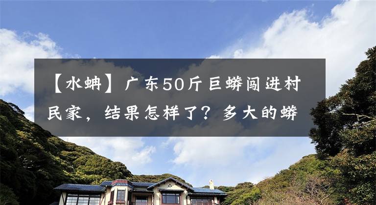 【水蚺】廣東50斤巨蟒闖進村民家，結(jié)果怎樣了？多大的蟒蛇能吞下成年人？