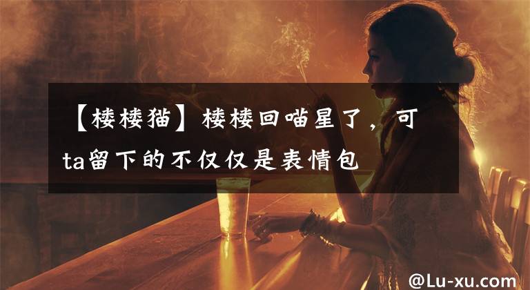 【樓樓貓】樓樓回喵星了，可ta留下的不僅僅是表情包