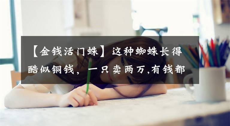 【金錢活門蛛】這種蜘蛛長(zhǎng)得酷似銅錢，一只賣兩萬(wàn),有錢都買不到