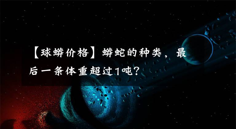 【球蟒價(jià)格】蟒蛇的種類，最后一條體重超過1噸？