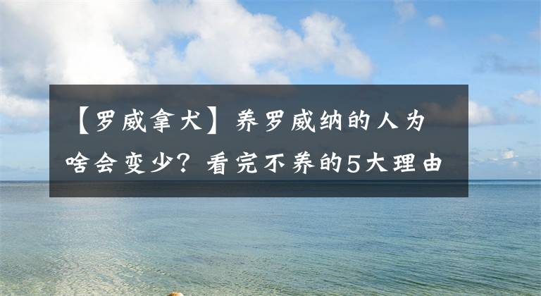 【羅威拿犬】養(yǎng)羅威納的人為啥會變少？看完不養(yǎng)的5大理由后，你也會拒絕嗎