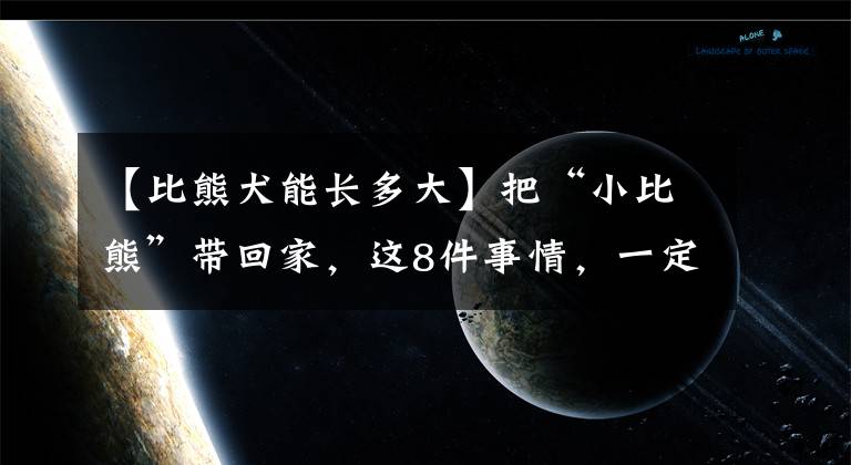 【比熊犬能長多大】把“小比熊”帶回家，這8件事情，一定要注意