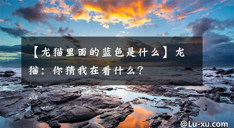 【龍貓里面的藍(lán)色是什么】龍貓：你猜我在看什么？