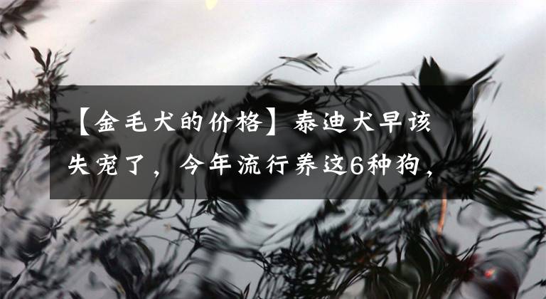 【金毛犬的價格】泰迪犬早該失寵了，今年流行養(yǎng)這6種狗，好養(yǎng)又不貴