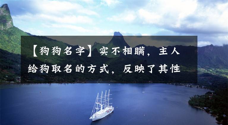 【狗狗名字】實(shí)不相瞞，主人給狗取名的方式，反映了其性格