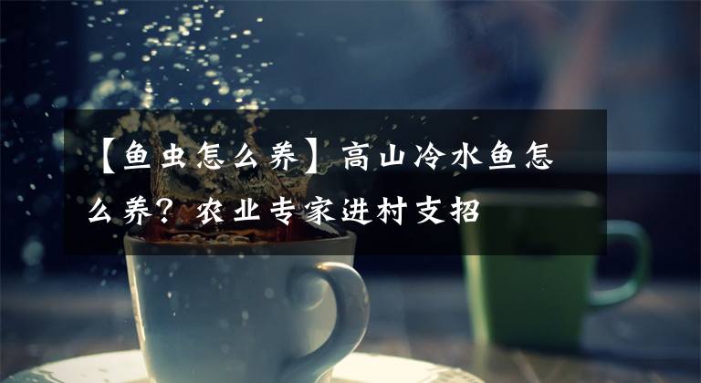 【魚蟲怎么養(yǎng)】高山冷水魚怎么養(yǎng)？農(nóng)業(yè)專家進(jìn)村支招