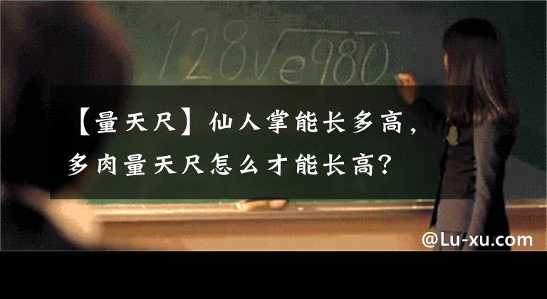 【量天尺】仙人掌能長多高，多肉量天尺怎么才能長高？