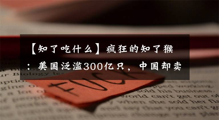 【知了吃什么】瘋狂的知了猴：美國泛濫300億只，中國卻賣1元1個，到底能不能吃