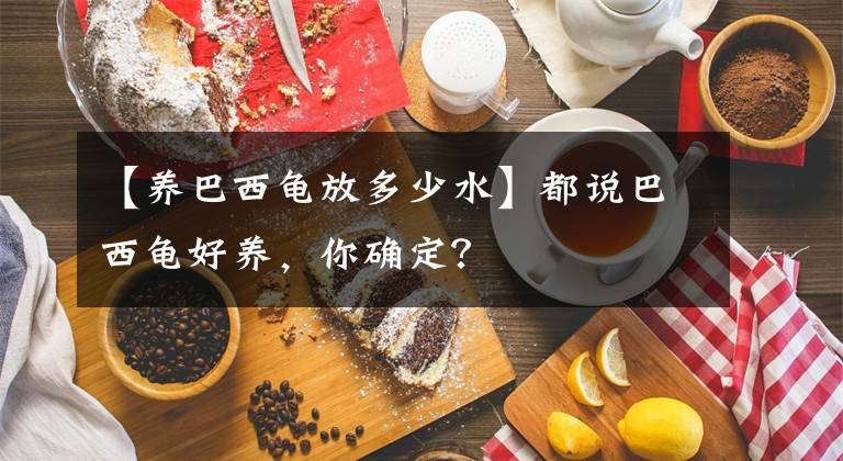 【養(yǎng)巴西龜放多少水】都說巴西龜好養(yǎng)，你確定？