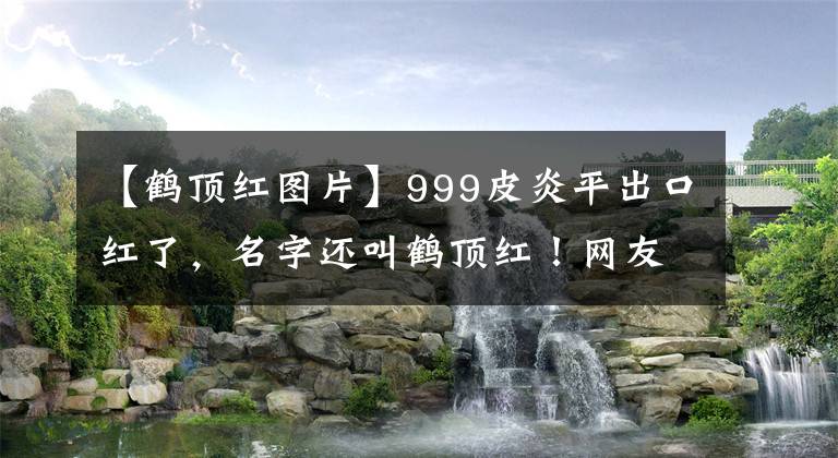 【鶴頂紅圖片】999皮炎平出口紅了，名字還叫鶴頂紅！網(wǎng)友：不敢涂