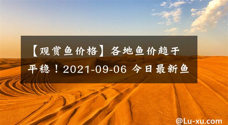 【觀賞魚價(jià)格】各地魚價(jià)趨于平穩(wěn)！2021-09-06 今日最新魚價(jià)